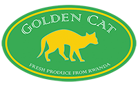 Golden Cat logo