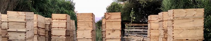 Swahili Honey beehives