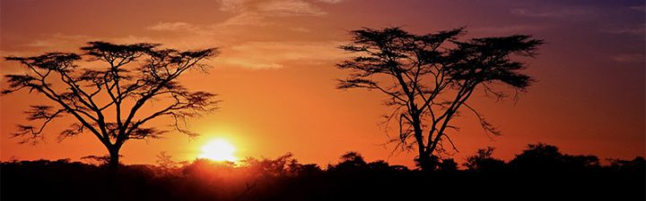 African sunrise