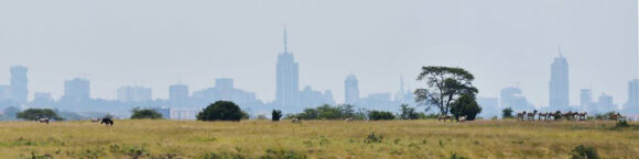 Nairobi Skyline