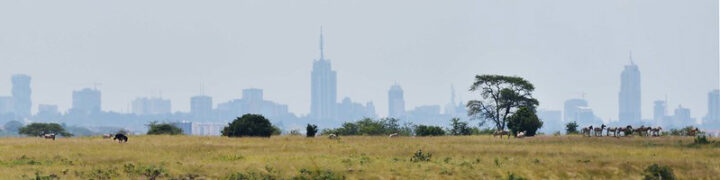 Nairobi Skyline